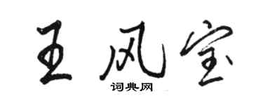 駱恆光王風寶行書個性簽名怎么寫
