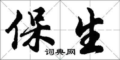 胡問遂保生行書怎么寫