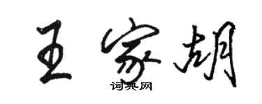 駱恆光王家胡行書個性簽名怎么寫