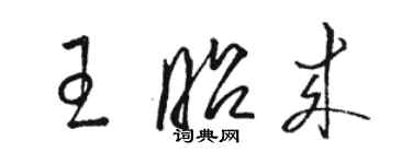 駱恆光王昭來草書個性簽名怎么寫