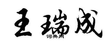 胡問遂王瑞成行書個性簽名怎么寫