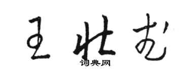 駱恆光王壯武草書個性簽名怎么寫