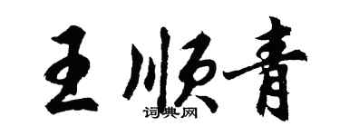 胡問遂王順青行書個性簽名怎么寫