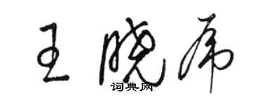 駱恆光王曉虎草書個性簽名怎么寫