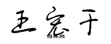 曾慶福王宏乾草書個性簽名怎么寫