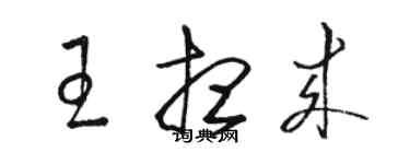 駱恆光王想來草書個性簽名怎么寫