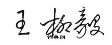 駱恆光王柳毅草書個性簽名怎么寫