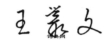 駱恆光王叢文草書個性簽名怎么寫