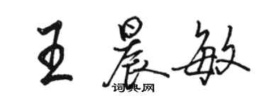 駱恆光王晨敏行書個性簽名怎么寫