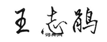 駱恆光王志鵑行書個性簽名怎么寫