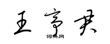 梁錦英王亭君草書個性簽名怎么寫