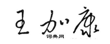 駱恆光王加康草書個性簽名怎么寫
