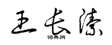曾慶福王長潔草書個性簽名怎么寫