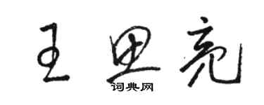 駱恆光王思亮草書個性簽名怎么寫