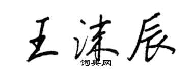 王正良王沫辰行書個性簽名怎么寫