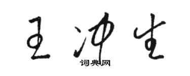 駱恆光王沖生草書個性簽名怎么寫