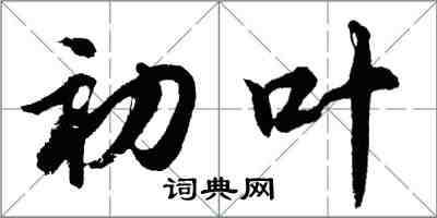 胡問遂初葉行書怎么寫