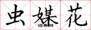 丁謙蟲媒花楷書怎么寫