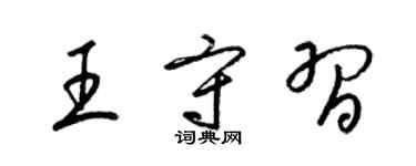 梁錦英王守習草書個性簽名怎么寫