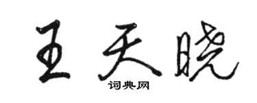 駱恆光王天曉行書個性簽名怎么寫