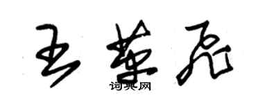 朱錫榮王革飛草書個性簽名怎么寫