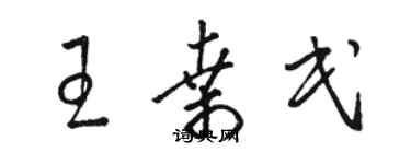 駱恆光王桑民草書個性簽名怎么寫