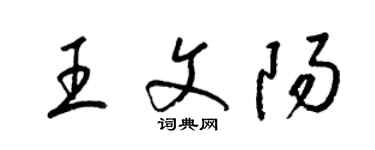 梁錦英王文陽草書個性簽名怎么寫