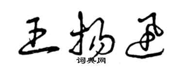 曾慶福王揚迅草書個性簽名怎么寫