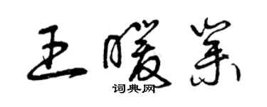 曾慶福王暖業草書個性簽名怎么寫