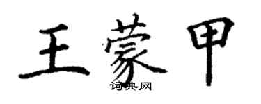 丁謙王蒙甲楷書個性簽名怎么寫