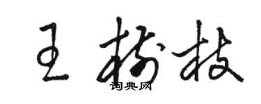 駱恆光王樹枝草書個性簽名怎么寫
