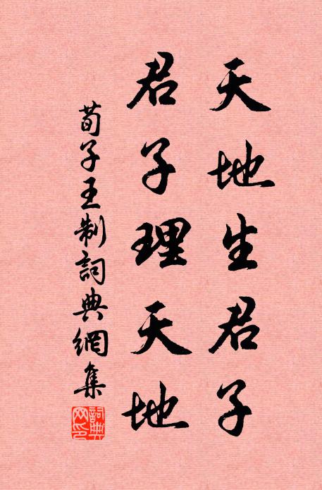 荀子天地生君子,君子理天地。書法作品欣賞