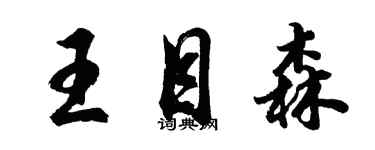 胡問遂王目森行書個性簽名怎么寫