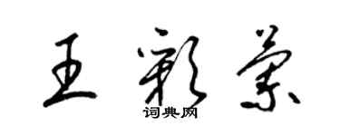 梁錦英王彩蘭草書個性簽名怎么寫