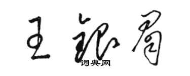 駱恆光王銀眉草書個性簽名怎么寫