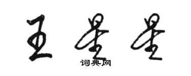 駱恆光王星星行書個性簽名怎么寫