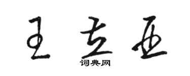 駱恆光王立亞草書個性簽名怎么寫