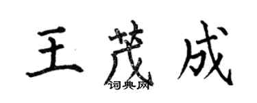 何伯昌王茂成楷書個性簽名怎么寫