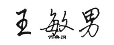 駱恆光王敏男行書個性簽名怎么寫