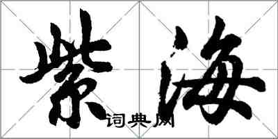 胡問遂紫海行書怎么寫