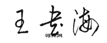 駱恆光王書海草書個性簽名怎么寫