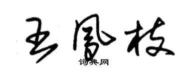 朱錫榮王鳳枝草書個性簽名怎么寫