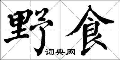 翁闓運野食楷書怎么寫