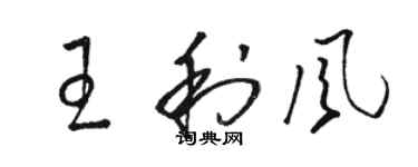 駱恆光王利風草書個性簽名怎么寫