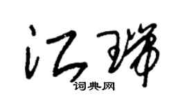 朱錫榮江瑞草書個性簽名怎么寫