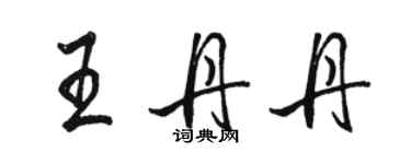 駱恆光王丹丹行書個性簽名怎么寫