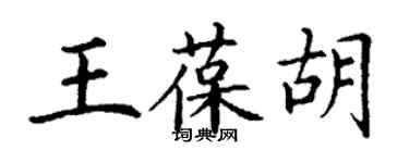 丁謙王葆胡楷書個性簽名怎么寫