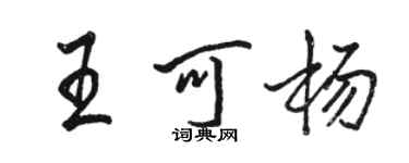 駱恆光王可楊行書個性簽名怎么寫