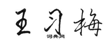 駱恆光王習梅行書個性簽名怎么寫