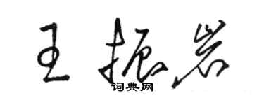 駱恆光王振岩草書個性簽名怎么寫